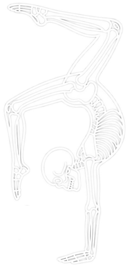 Gymnastics & Dance Medicine